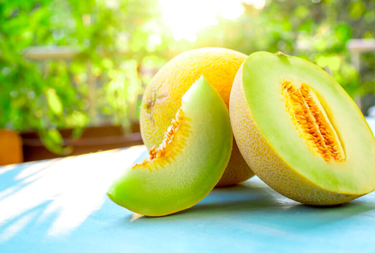 Beyond the Melon: Unraveling the Meaning of Honeydew in Plant Health