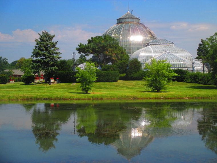 A Legacy of Greenery: The Anna Scripps Whitcomb Conservatory's Enduring Name